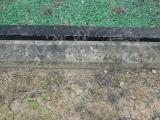 image of grave number 908736